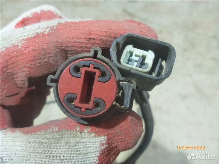 Проводка моторного отсека Ford Focus DF 2.0 2000