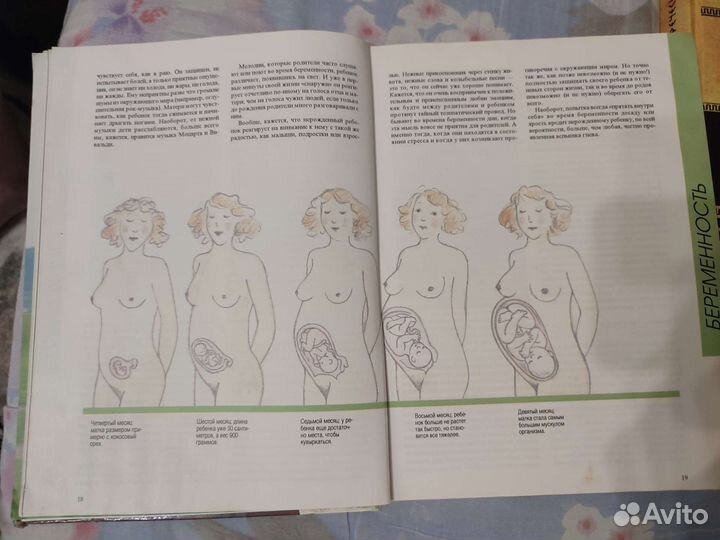 Книга- беременность первые годы жизни