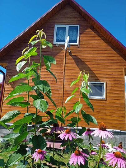 Дом 80 м² на участке 10 сот.