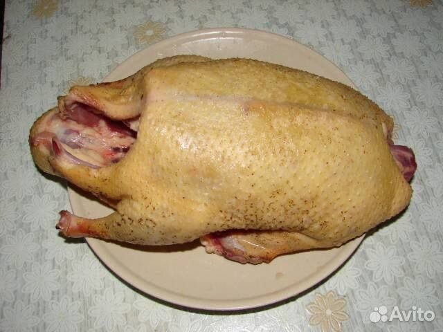 Мясо индоутки