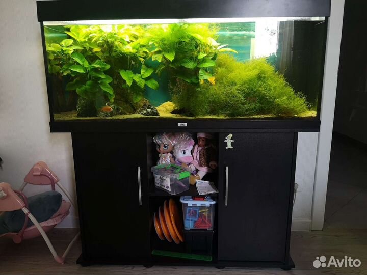 Аквариум Juwel 240