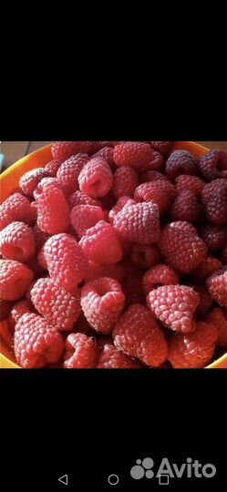 Малина, чёрная смородина ягоды