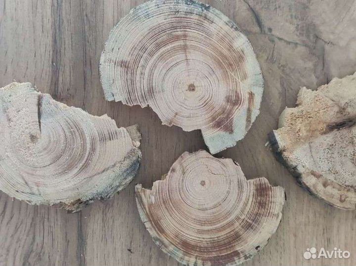 Спил дерева для выжигания и творчества