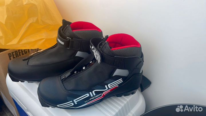 Лыжные ботинки spine