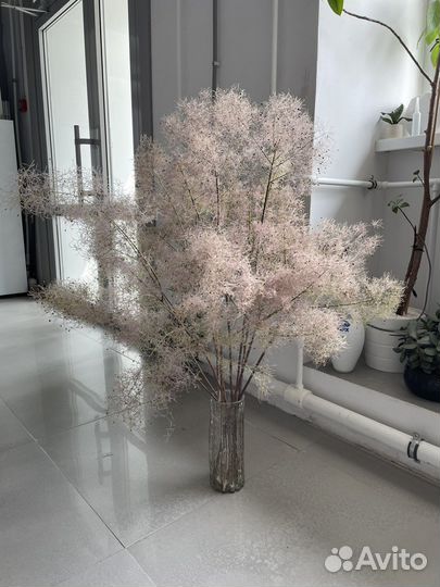 Сухоцветы пшеница скумпия синеголовник чертополох