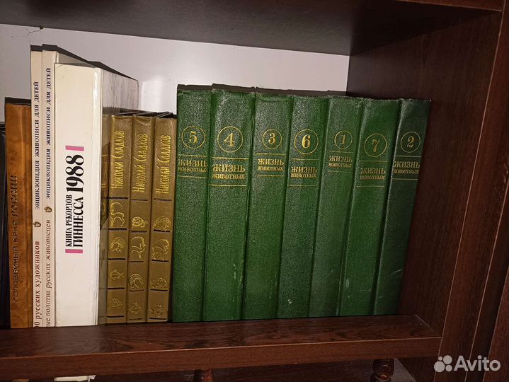 Коллекция книг 2