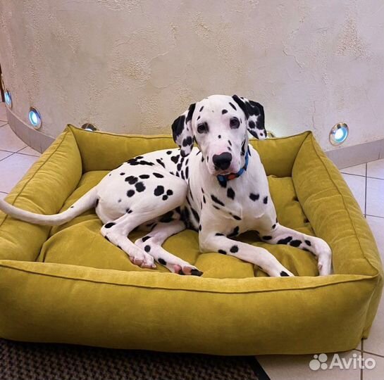 Лежанка новая для собак и кошек