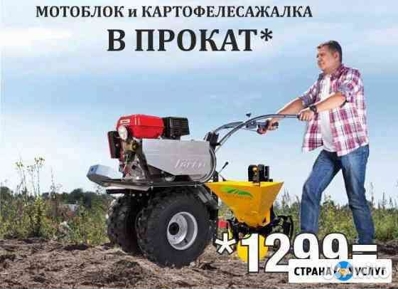 Мотоблоки и культиваторы временное пользования