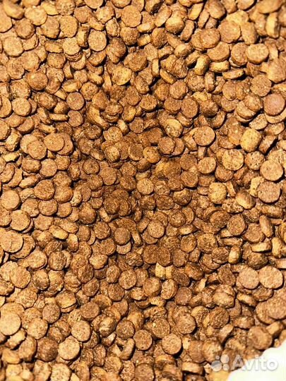 Сухой корм стм для собак и кошек