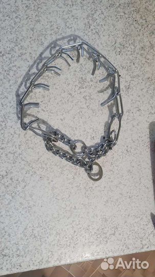 Строгий ошейник