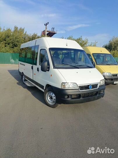 Городской автобус Sollers Atlant, 2009