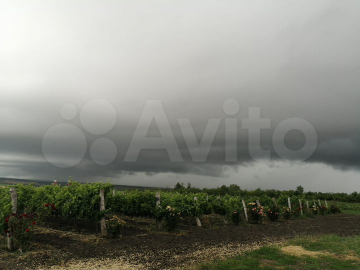 Участок 4 га (СНТ, ДНП)