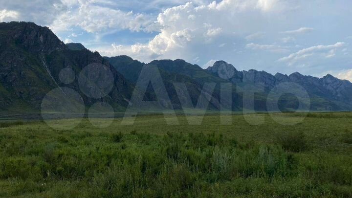 Участок 4 га (СНТ, ДНП)