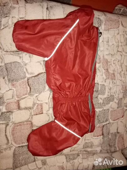 Дождевик для маленькой собаки