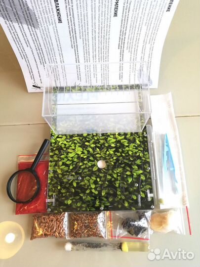 Муравьиная ферма 20х27 