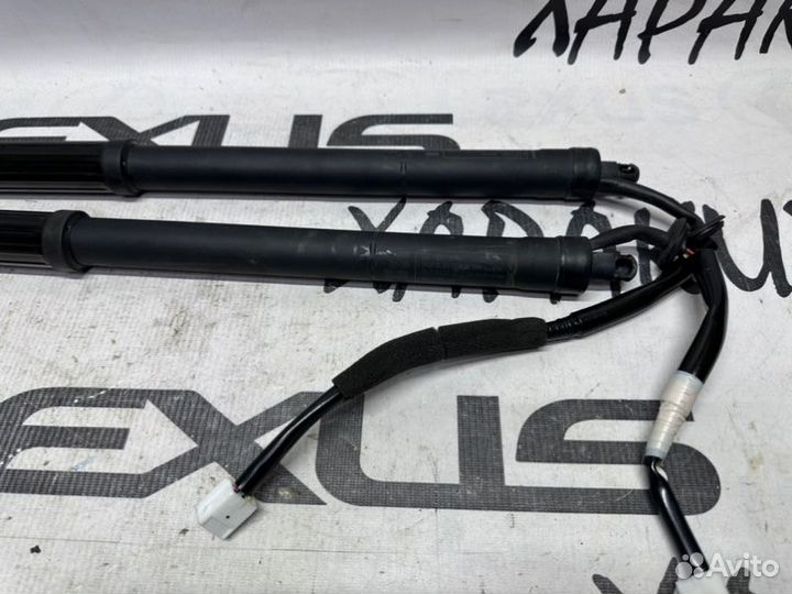 Амортизатор крышки багажника Lexus Nx Nx200T Nx300