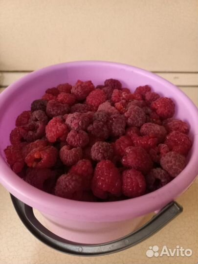 Саженцы малины