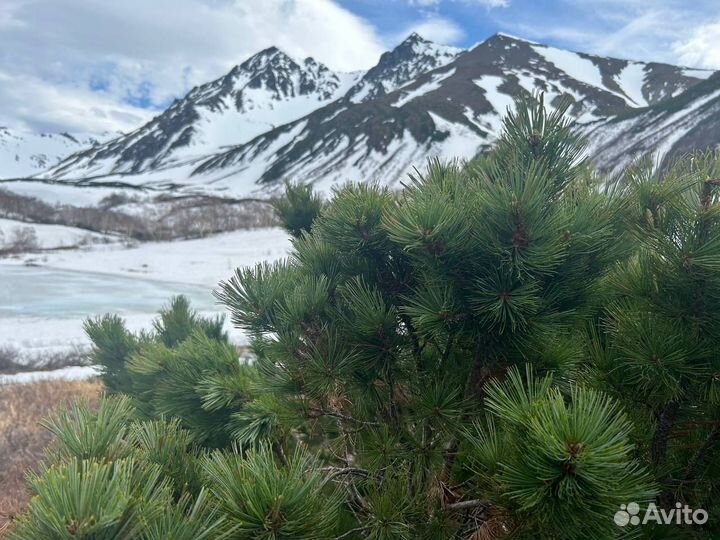 Тур по Камчатке - Весна на джипе