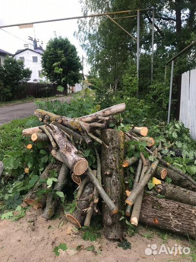 Бревно