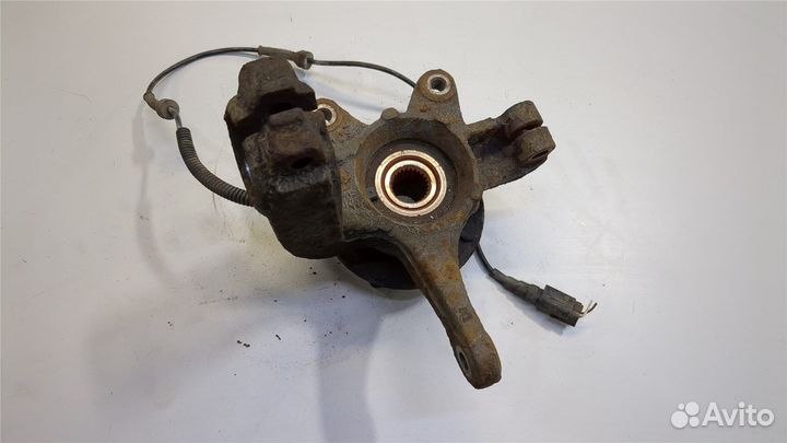 Ступица (кулак, цапфа) Ford Fiesta, 2004