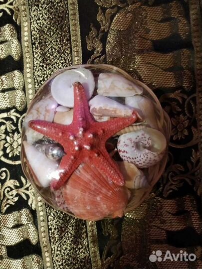 Набор ракушек с морской звездой