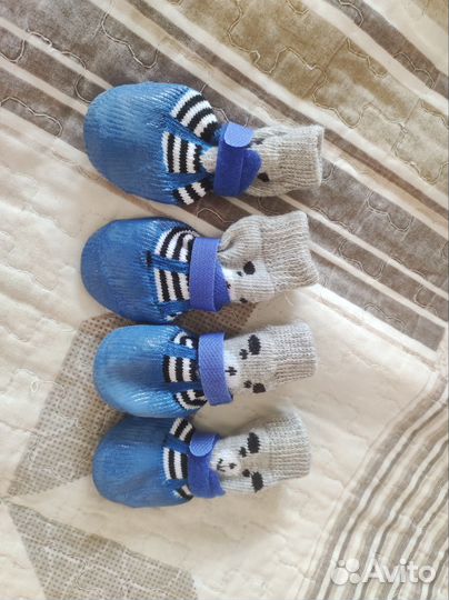 Обувь для собак мелких пород