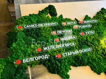 Карта России со мхом 95 см