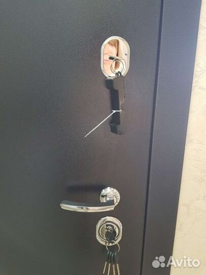 Дверь входная металлическая с зеркалом