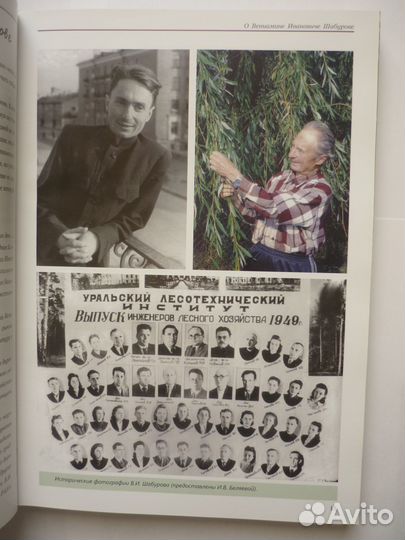 Марченко А.М. Декоративные гибридные ивы том 1