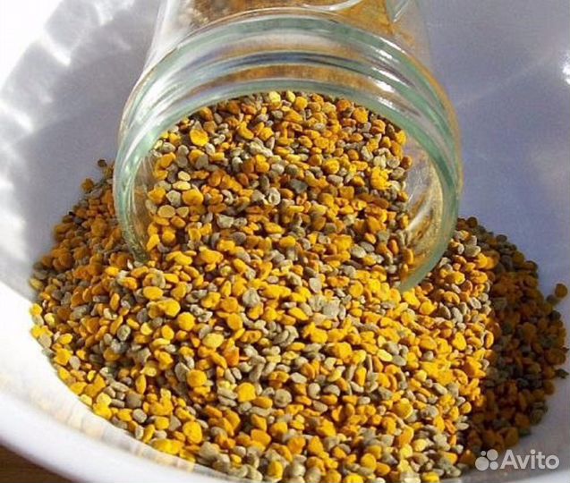 Свежий майский мёд, разнотравие и цветочный, перга