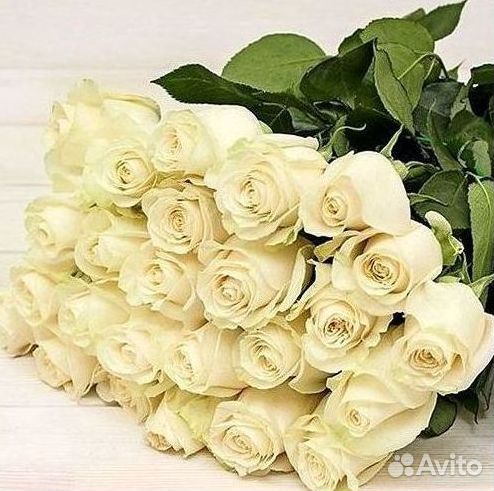 Розы Цветы Букеты 25 151 201 101 301 501 опт