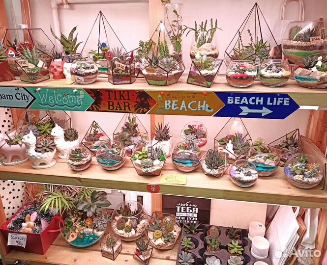 Флорариум в подарок