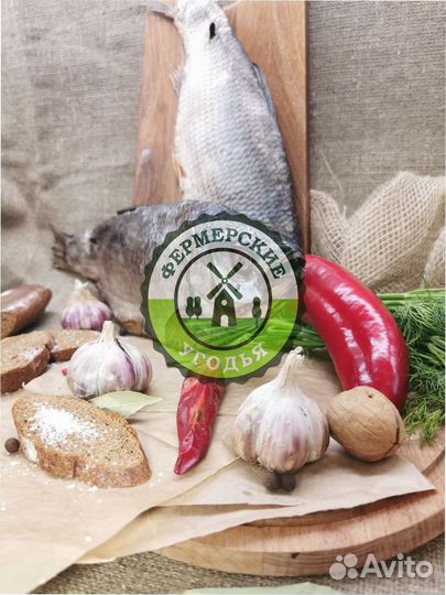 Рыба северная Язь Щука Щекур Мохтик Лещ Сырок