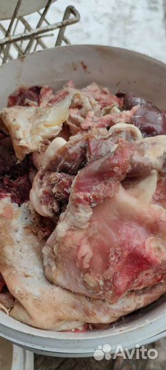 Мясо говядина для животных