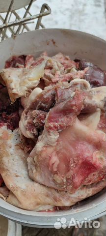 Мясо говядина для животных