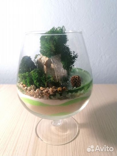 Мини моссариум
