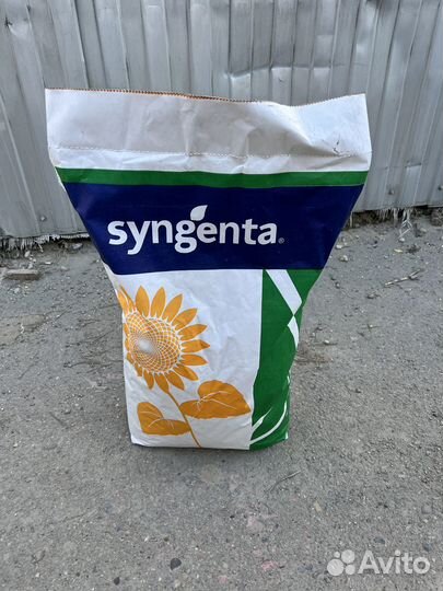 Семена подсолнечника гибрид Syngenta