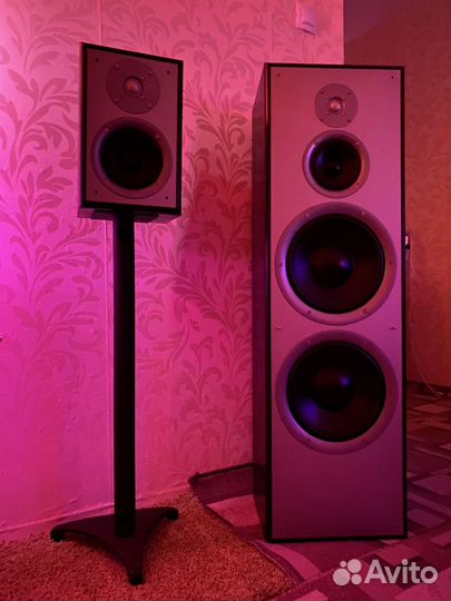 Акустика Attitude Alpha 30 + усилитель