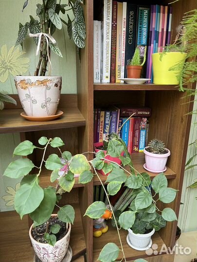 Письменный стол