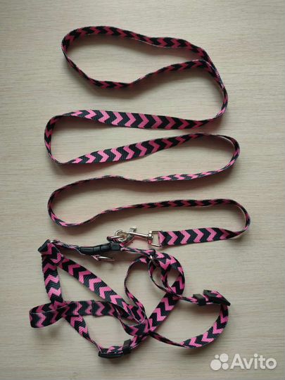Поводок + шлейка для кошек и собак мелких пород
