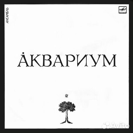 Виниловые пластинки группа 