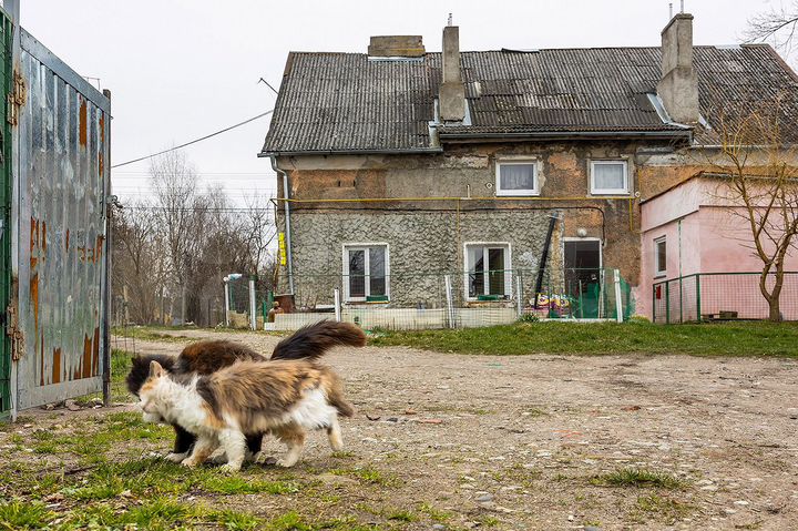 2-к. квартира, 37,3 м², 1/2 эт.