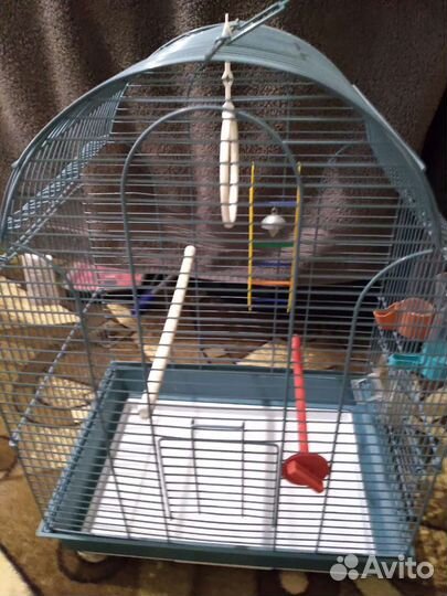 Клетки и переноски для попугайчиков и грызунов
