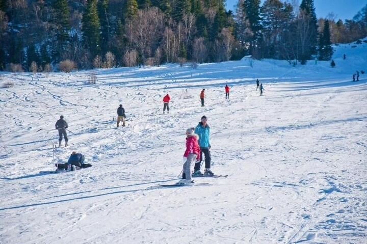 Участок 80 сот. (СНТ, ДНП)