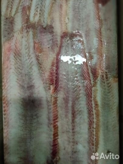 Филе клариевого сома