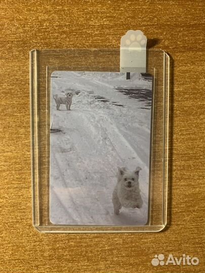 Карты itzy черен