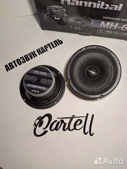 Динамики новые Avatar