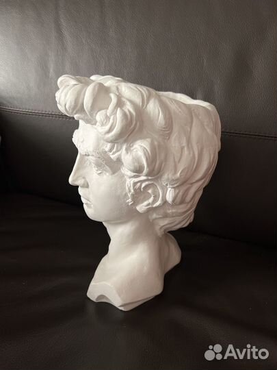 Бюст гипсовая голова кашпо давид