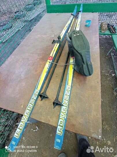 Беговые лыжи