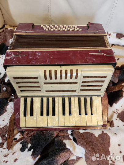 Аккардеон Soberano